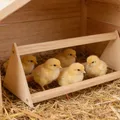 2 perchoirs poulets bois légers et stables pour poulailler – 2