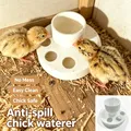 Abreuvoir anti-goutte pour poussins et jeunes oiseaux – 1