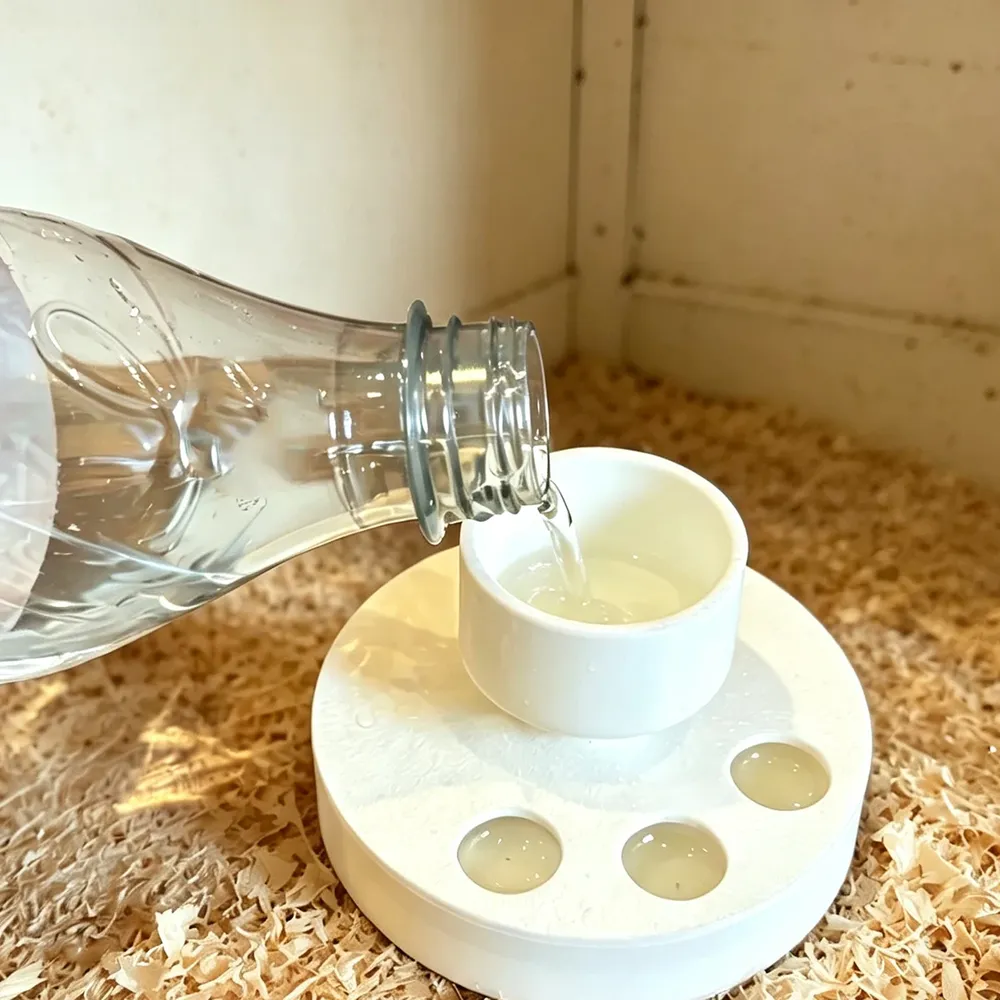 Abreuvoir anti-goutte pour poussins et jeunes oiseaux