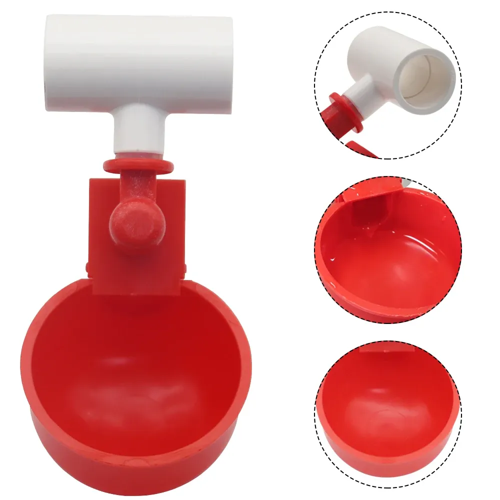 Abreuvoir automatique à coupelle pour volaille lot de 10