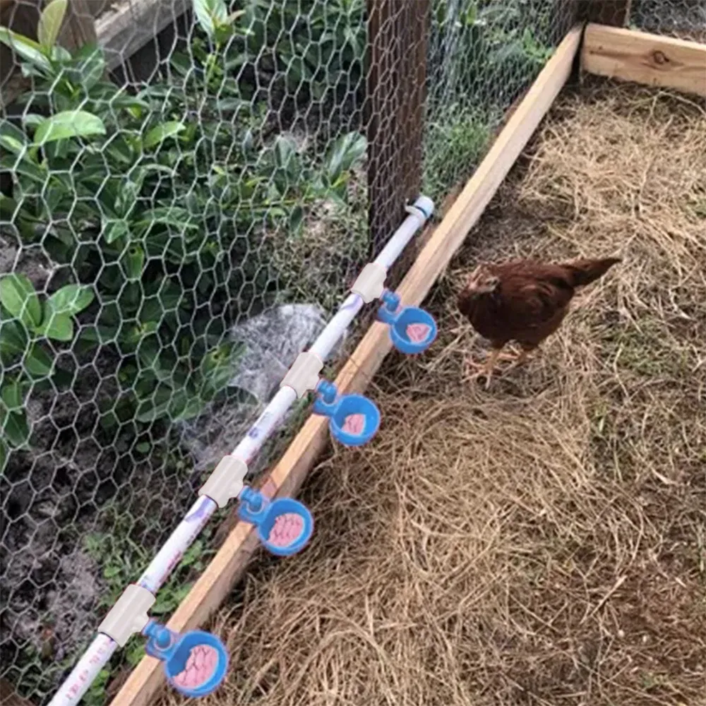 Abreuvoir automatique à coupelle pour volaille lot de 10