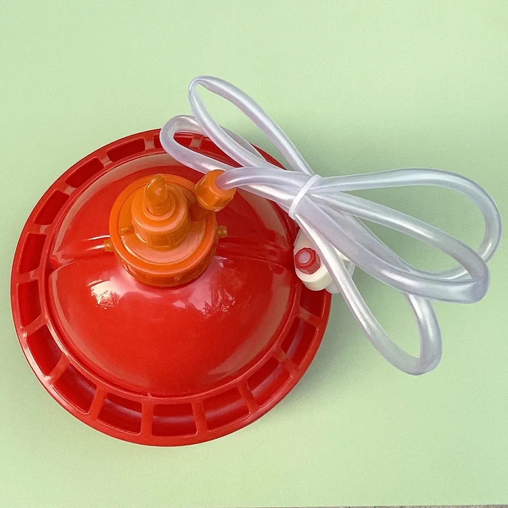Abreuvoir automatique cloche pour volaille 1 set