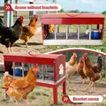 Abreuvoir automatique double face métallique pour poulets – 6