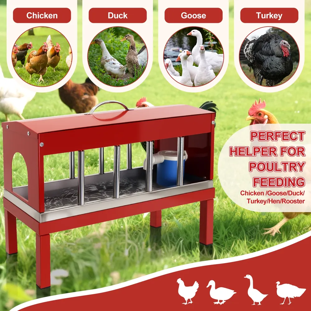Abreuvoir automatique double face métallique pour poulets