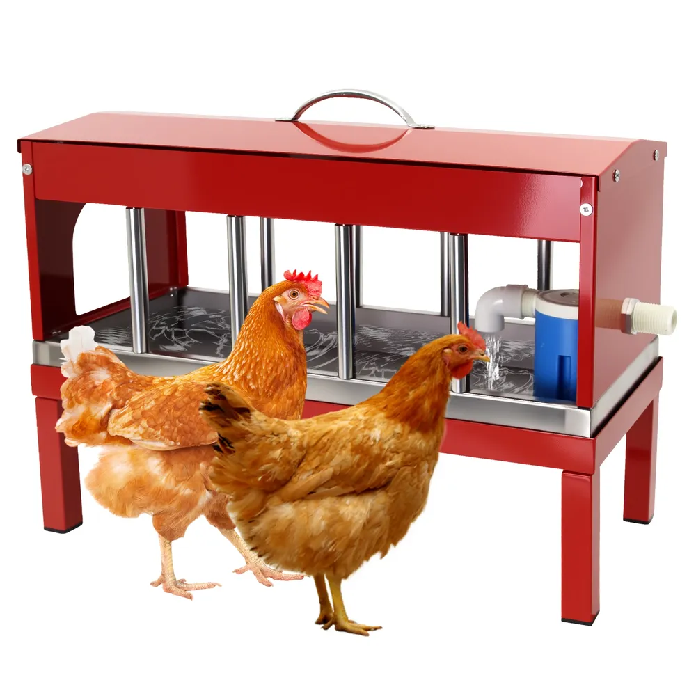 Abreuvoir automatique double face métallique pour poulets