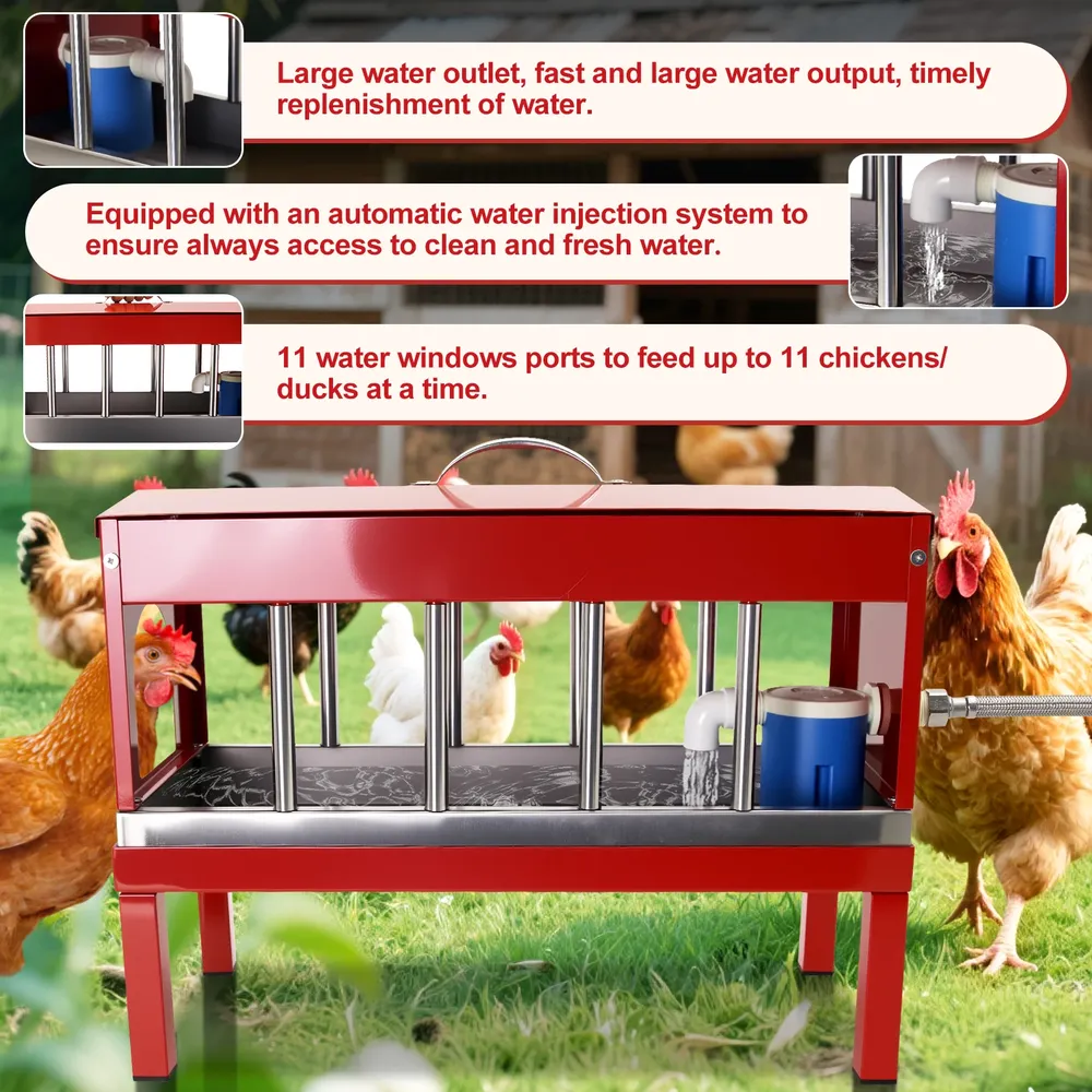 Abreuvoir automatique double face métallique pour poulets