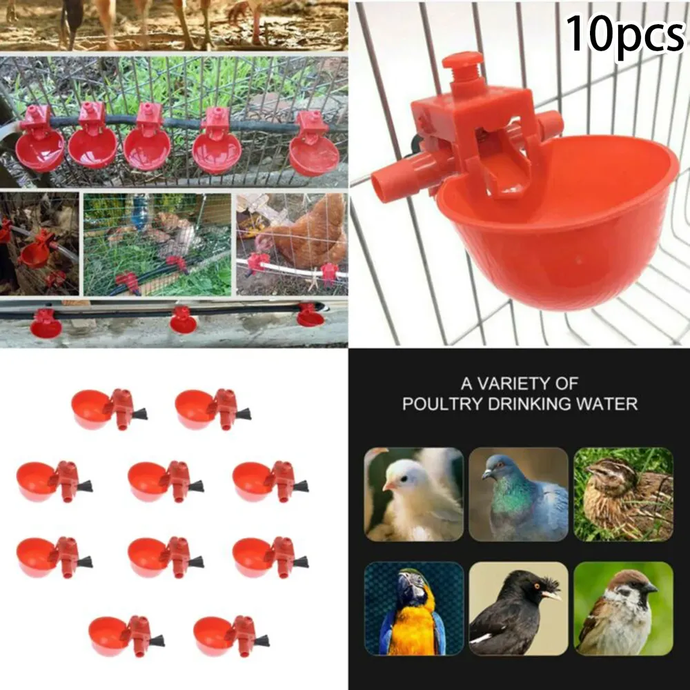Abreuvoir automatique en plastique pour volaille