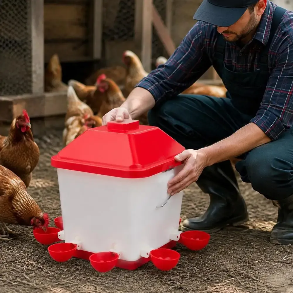 Abreuvoir automatique pour poulets 5 gallons sans gaspillage