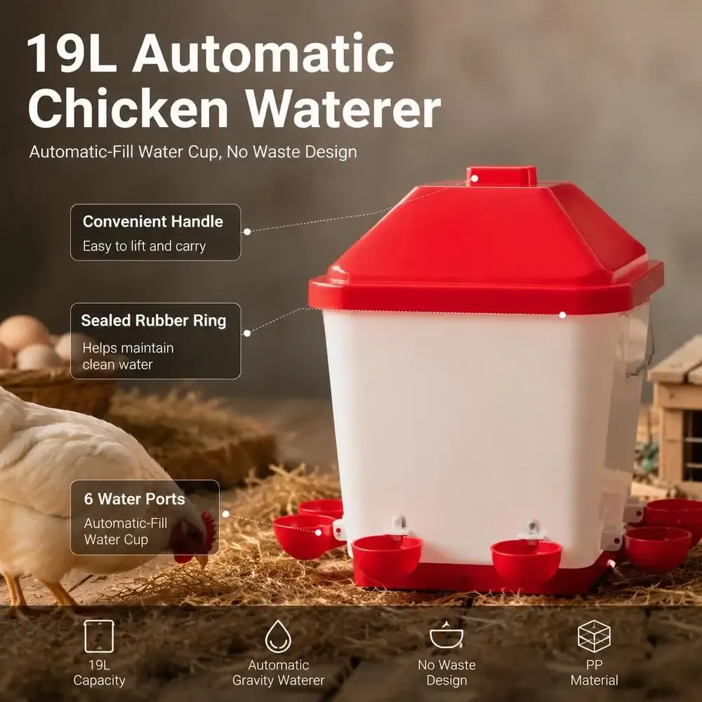 Abreuvoir automatique pour poulets 5 gallons sans gaspillage