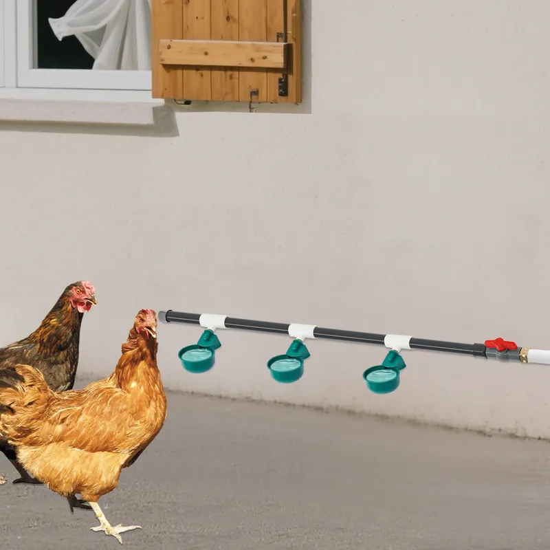Abreuvoir automatique pour poulets 9 bols montage latéral