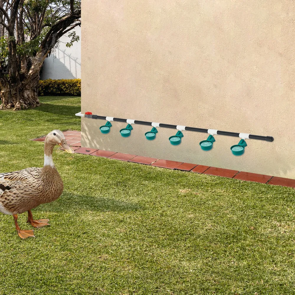 Abreuvoir automatique pour poulets 9 bols montage latéral