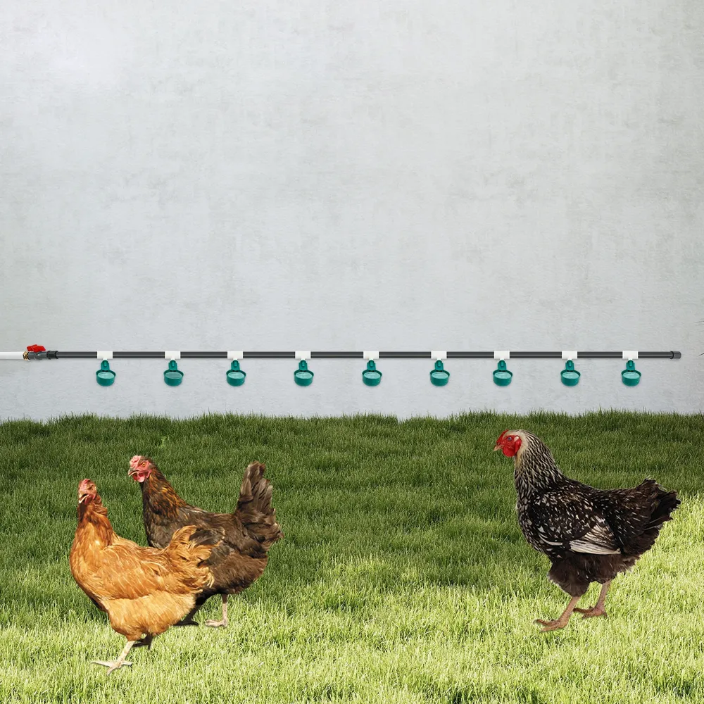 Abreuvoir automatique pour poulets 9 bols montage latéral