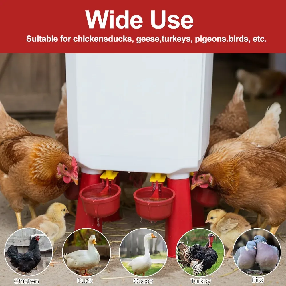 Abreuvoir automatique pour poulets avec valve flottante