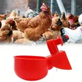 Abreuvoir automatique pour volaille et canards – 3