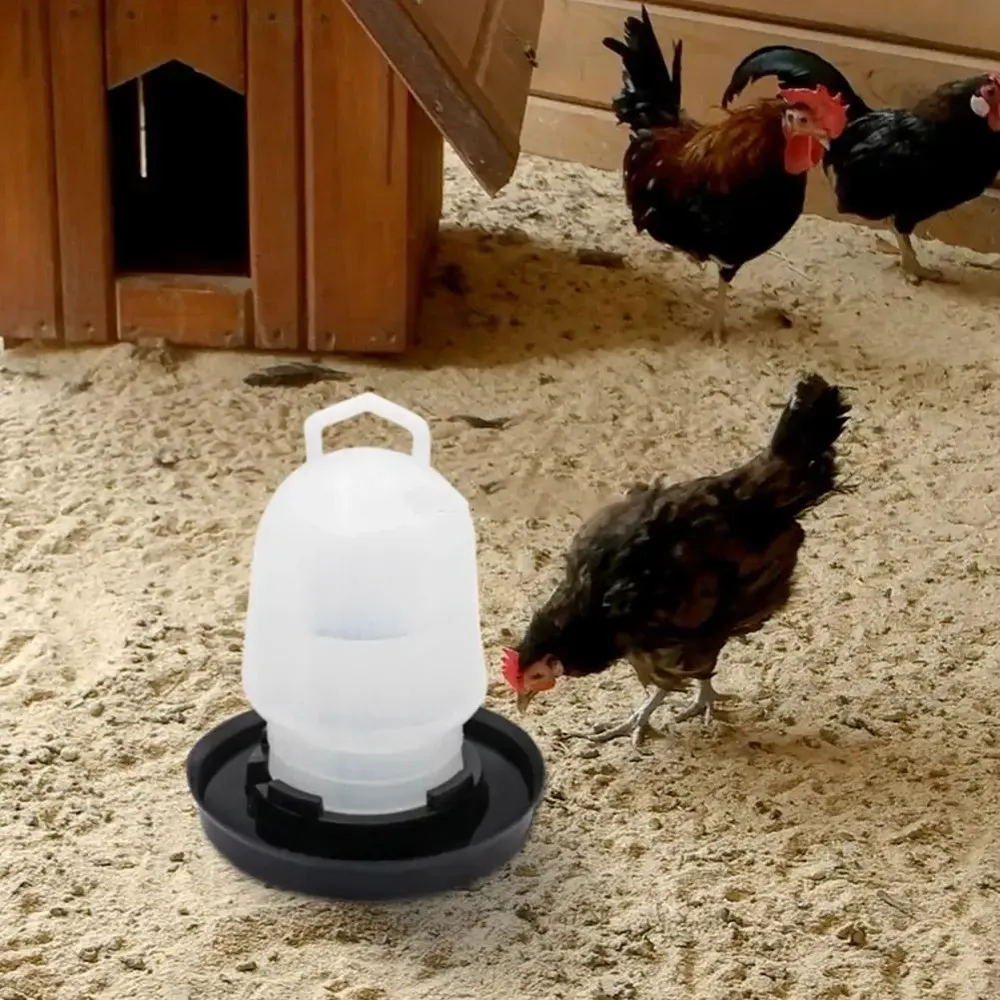 Abreuvoir automatique pour volaille lot de 1 à 5