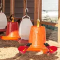 Abreuvoir automatique pour volaille lot de 20 – 3