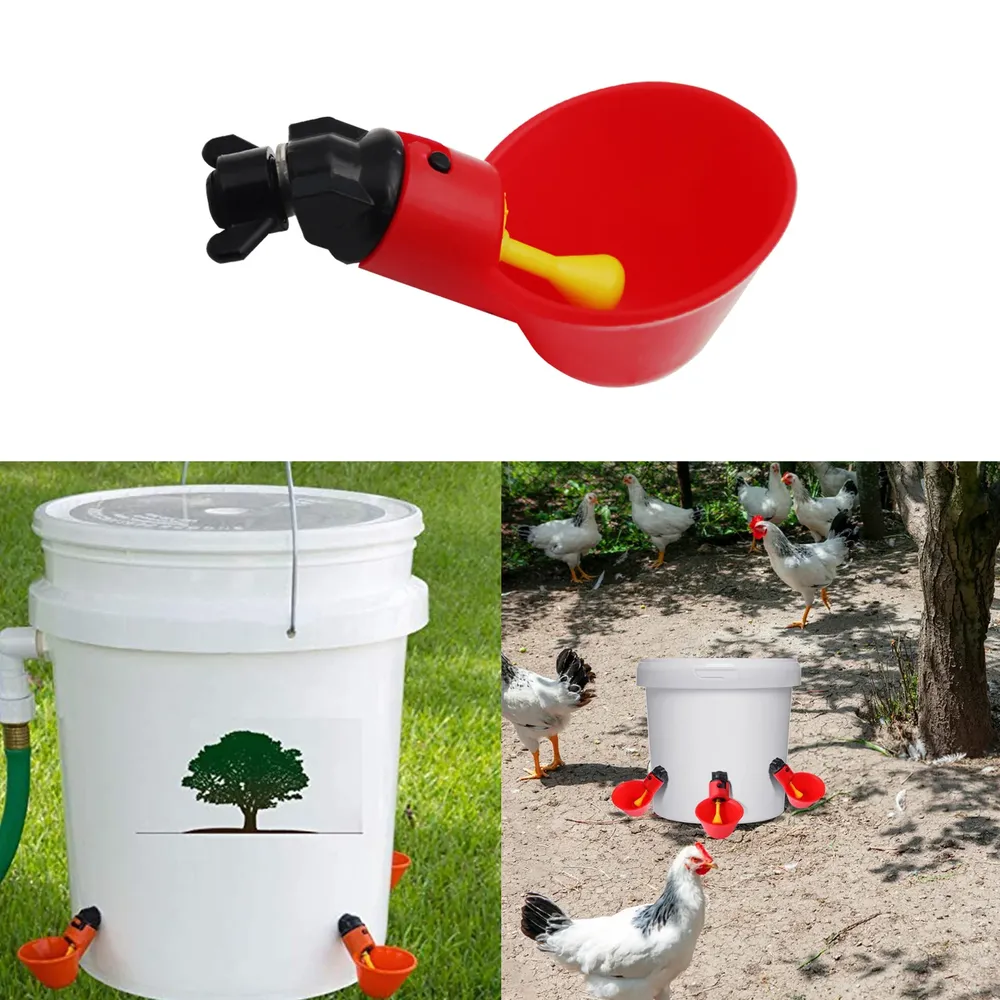 Abreuvoir automatique pour volaille lot de 20