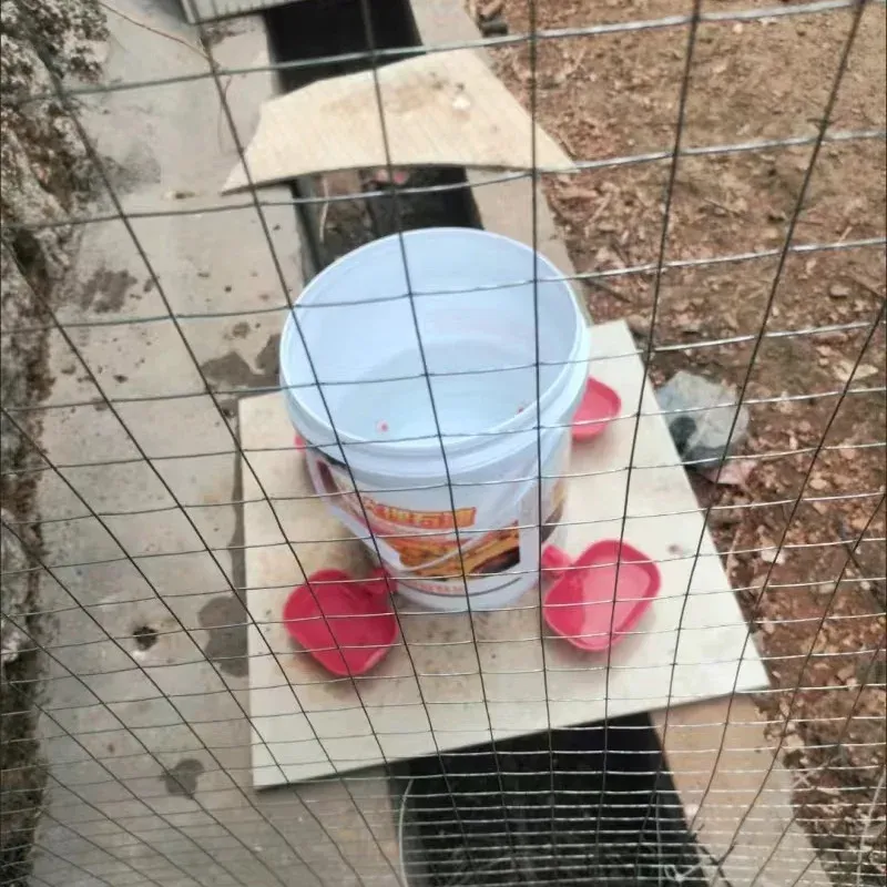 Abreuvoir automatique pour volaille lot de 5 à 10