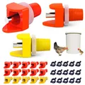 Abreuvoir automatique pour volaille lot de 5 à 100 – 1