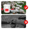 Abreuvoir automatique pour volaille lot de 5 à 20 – 6