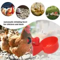 Abreuvoir automatique pour volaille lot de 5 à 50 – 2