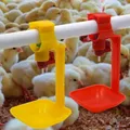 Abreuvoir automatique pour volaille lot de 5 à 50 – 2