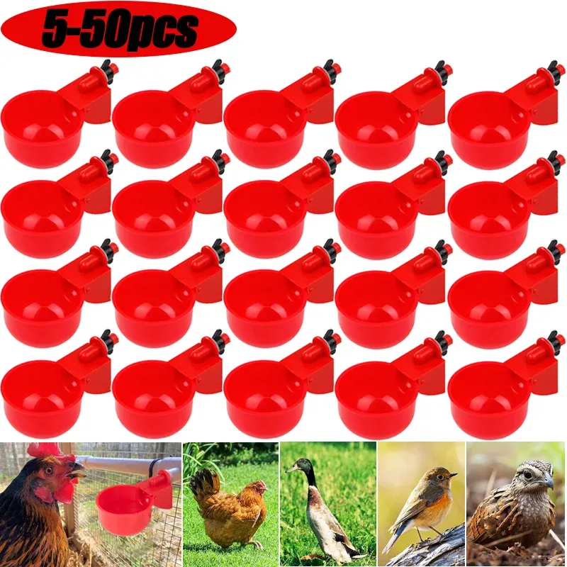 Abreuvoir automatique pour volaille lot de 5 à 50