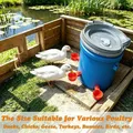 Abreuvoir automatique pour volaille lot de 6 à 24 – 5