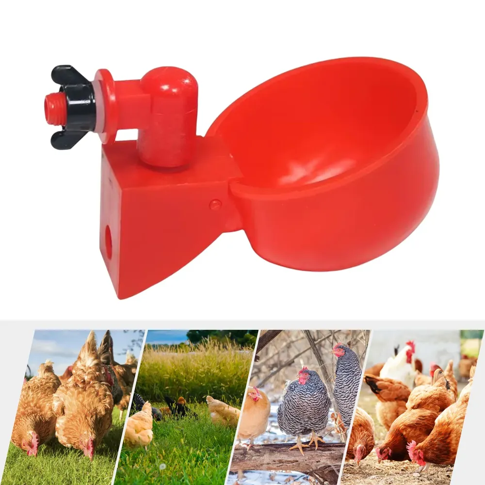 Abreuvoir automatique pour volaille lot de 6 à 36
