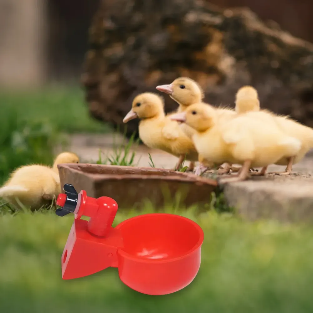Abreuvoir automatique pour volaille lot de 6 à 36