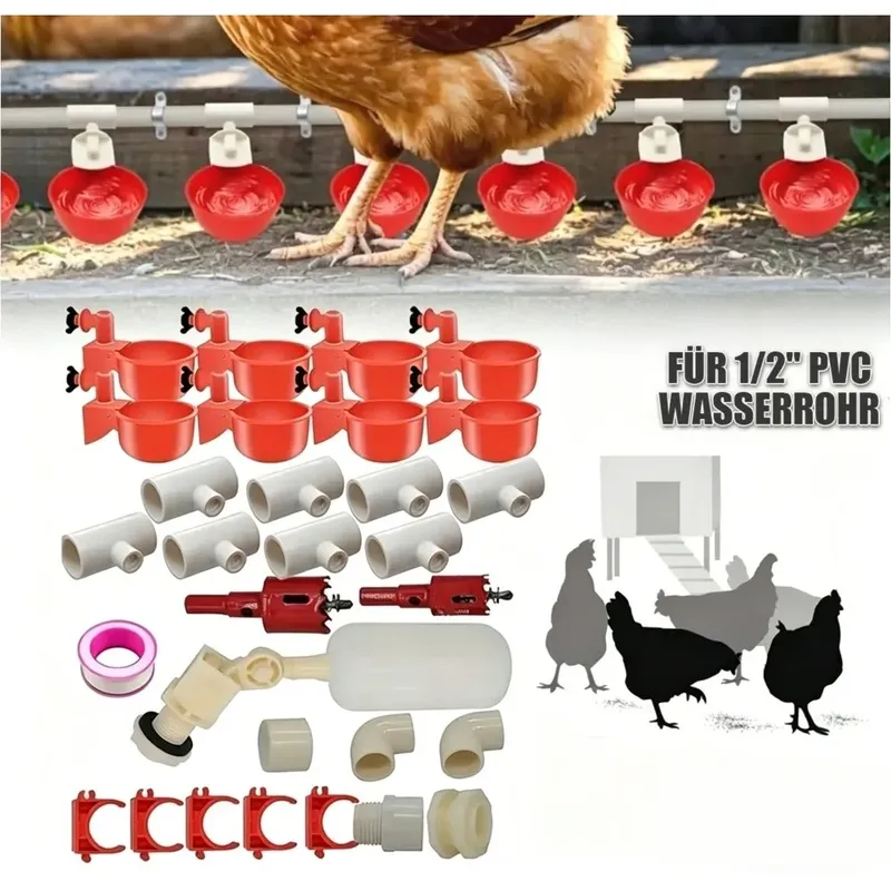 Abreuvoir automatique pour volailles pigeons et poussins