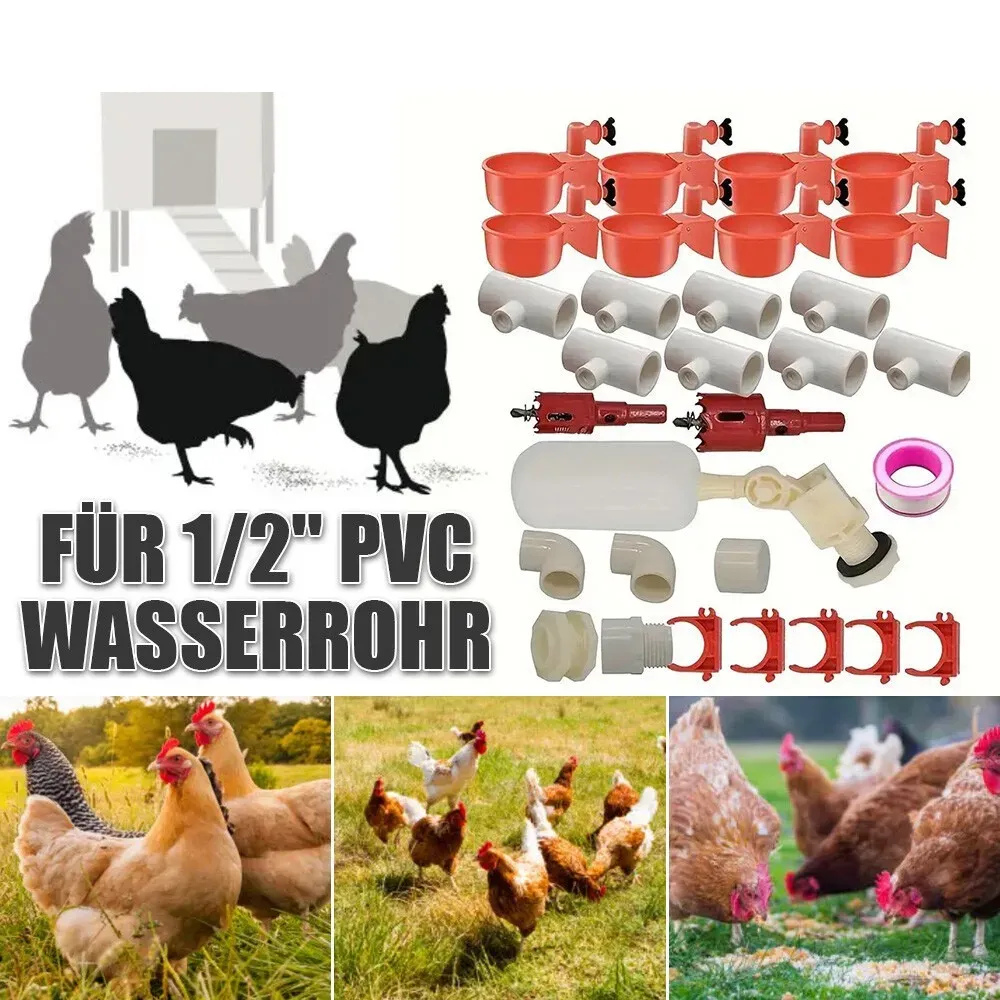 Abreuvoir automatique pour volailles pigeons et poussins