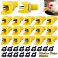 Abreuvoir jetable pour volaille lot de 15 à 30 – 1
