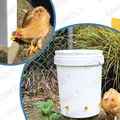 Abreuvoir jetable pour volaille lot de 15 à 30 – 4