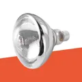 Ampoule chauffante 100 à 200W pour couveuse et reptiles – 2