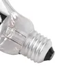 Ampoule chauffante 100 à 200W pour poussins et reptiles – 5