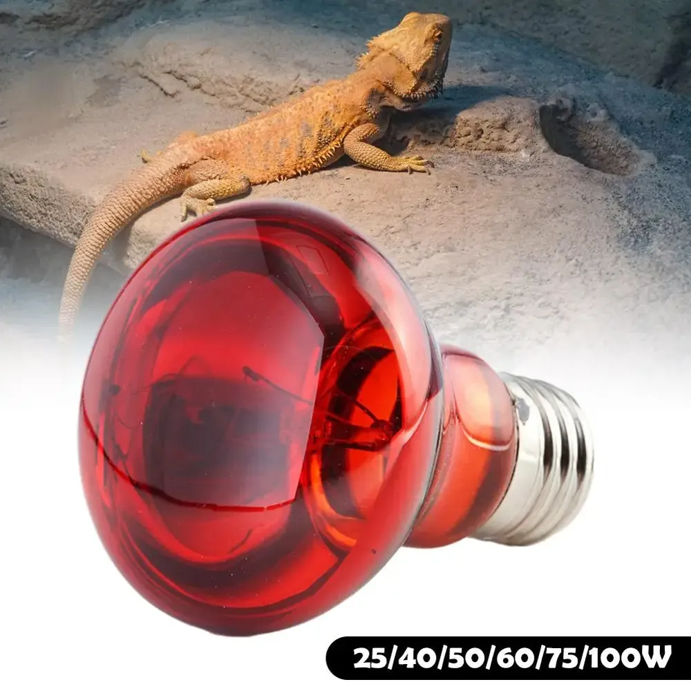 Ampoule chauffante E27 25 à 100W pour reptiles et animaux