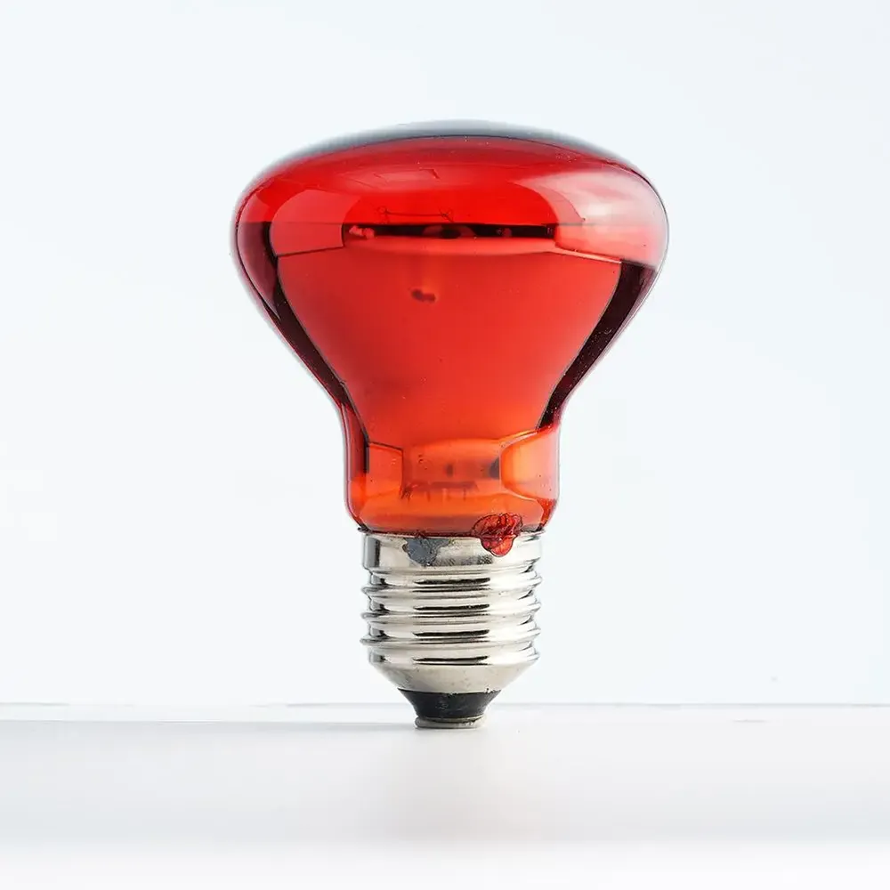 Ampoule chauffante E27 25 à 100W pour reptiles et animaux