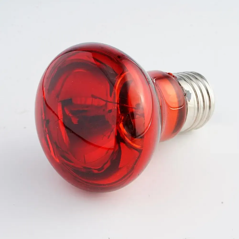 Ampoule chauffante E27 25 à 100W pour reptiles et animaux