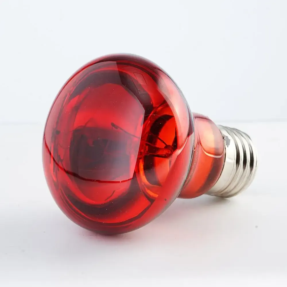 Ampoule chauffante E27 25 à 100W pour reptiles et animaux