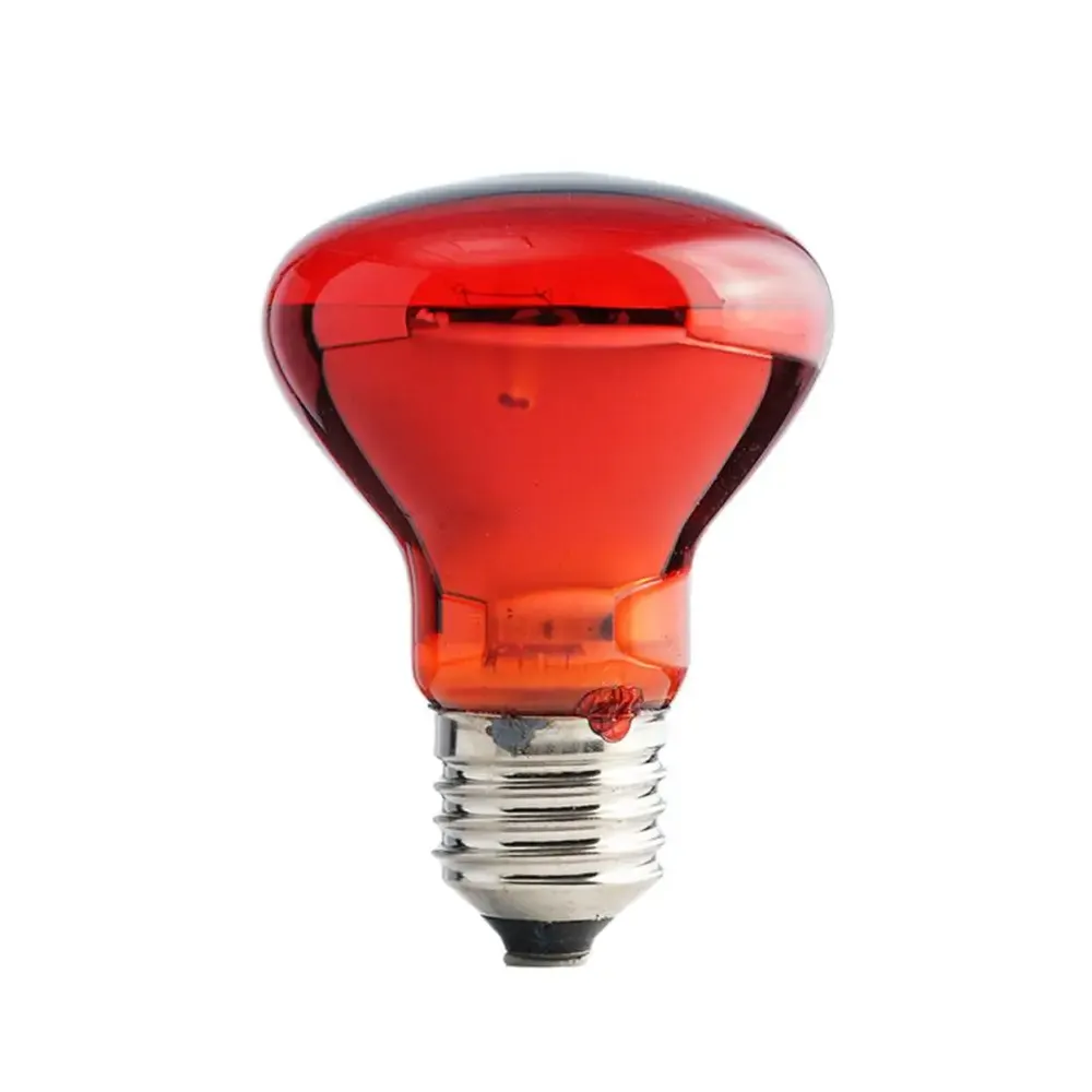 Ampoule chauffante E27 25 à 100W pour reptiles et animaux