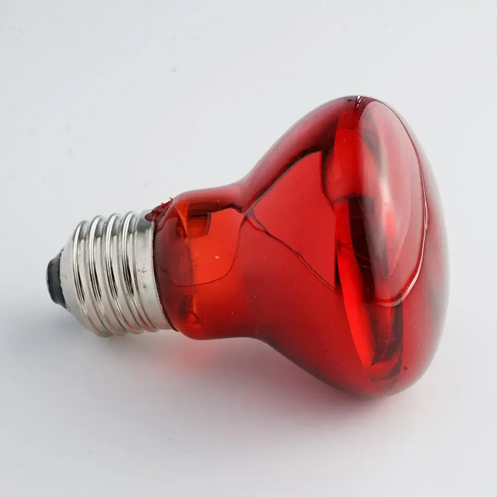 Ampoule chauffante E27 25 à 100W pour reptiles et animaux