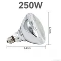 Ampoule chauffante infrarouge 100 à 250W pour couveuse – Couleur 250W