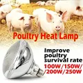 Ampoule chauffante infrarouge 100 à 250W pour couveuse – 4