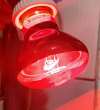 Avis clients – Ampoule chauffante E27 25 à 100W pour reptiles et animaux