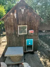 Avis clients – Boîte commande porte poulet télécommande minuterie lumière