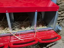 Avis clients – Nichoir à œufs avec collecte automatique pour poules et canards