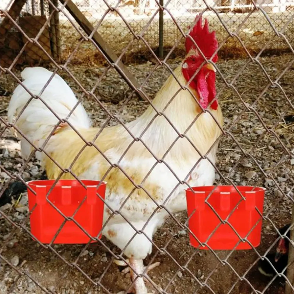 Bac à nourriture détachable pour petits animaux intérieur/extérieur