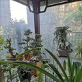 Bâche polyéthylène transparente 2x2 à 2x8m isolante – 6