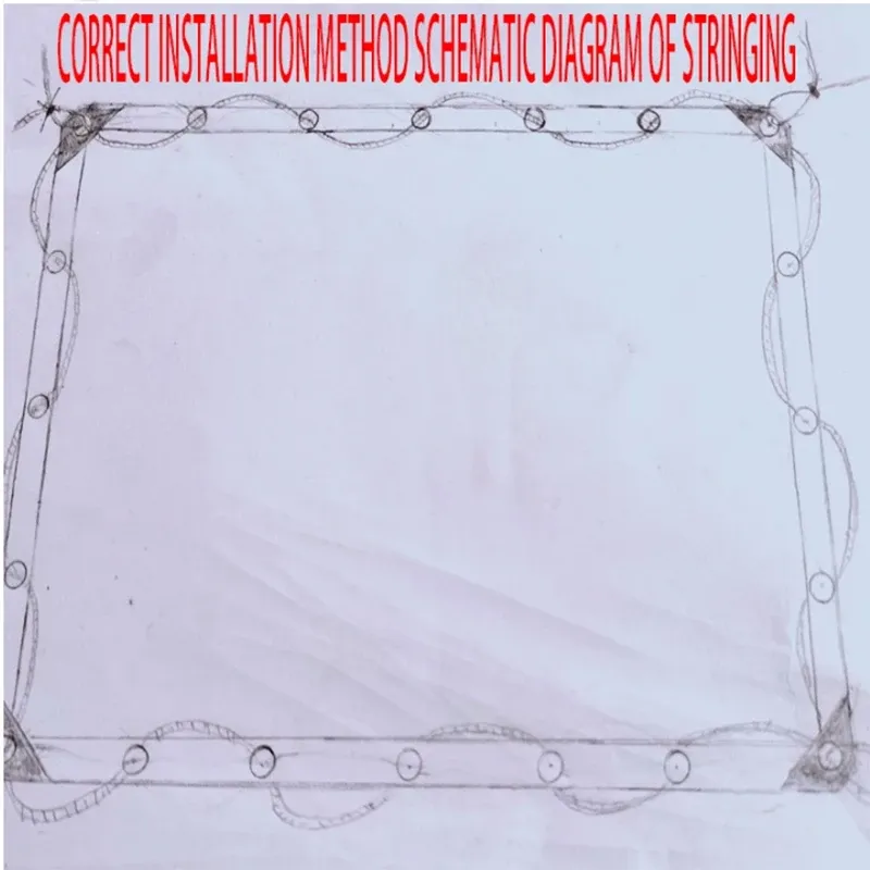 Bâche PVC transparente 1x1 à 2x3m coupe-vent anti-neige